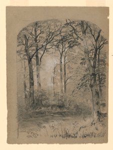 Landschaft