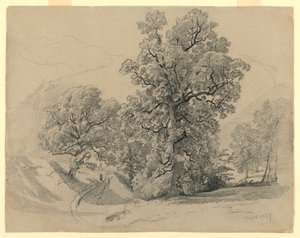 Landschaft, Lauterbrunnen, Schweiz