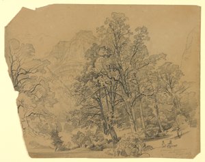 Landschaft, Silberhorn, Lauterbrunnen, Schweiz
