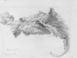 Blätter von William Trost Richards
