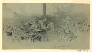 Studie des Laubs von William Trost Richards