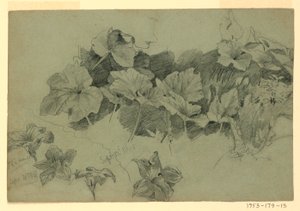 Studie von Laub von William Trost Richards