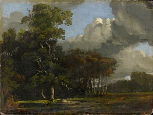 Waldlandschaft
