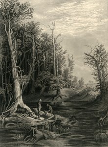 Der Chickahominy, 1872