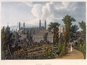 Der Botanische Garten, Cambridge, aus 