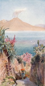 Posillipo. Die Bucht von Neapel von William Wiehe Collins