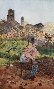 Siena. Unter den Mauern