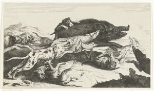 Hunde jagen ein Schwein