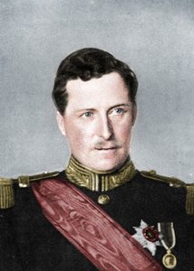 Albert, König von Belgien, Erster Weltkrieg, 1914