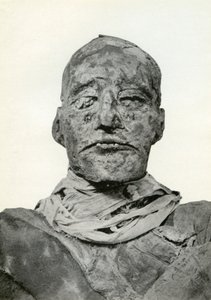 Kopf der Mumie von Ramses III., altägyptischer Pharao der 20. Dynastie, ca. 1156 v. Chr. 1926