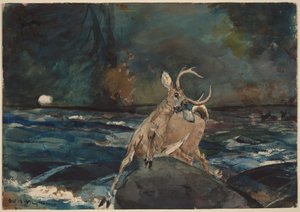 Ein guter Schuss, Adirondacks von Winslow Homer