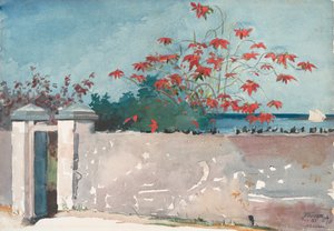 Eine Wand, Nassau, 1898