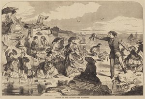 August auf dem Land - Die Küste
