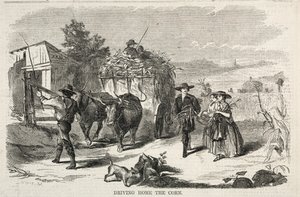 Heimfahrt des Korns, 1858 von Winslow Homer