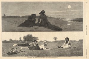 Flirten am Meer und auf der Wiese, aus Harper