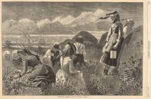 Beeren sammeln, aus Harper von Winslow Homer