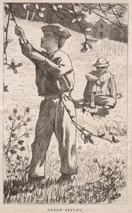 Grüne Äpfel von Winslow Homer