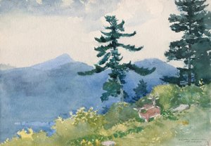 North Woods Club, Adirondacks (Das unterbrochene Tête-à-Tête) von Winslow Homer