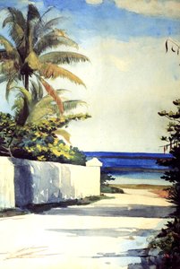 Straße in Nassau, 1898-99