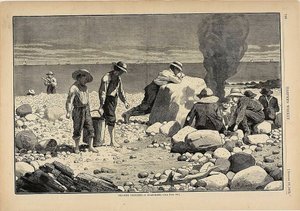 Skizzen am Meer—Ein Muschelbacken