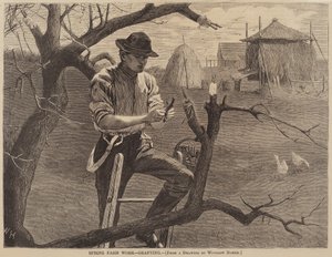 Frühlingsarbeit auf dem Bauernhof - Pfropfen, veröffentlicht 1870 von Winslow Homer
