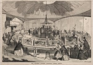 Die Aquarialgärten, Bromfield Street, Boston