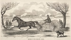 Trab auf dem Mill Dam, Boston, 1859