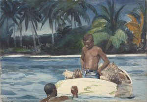 Westindische Taucher