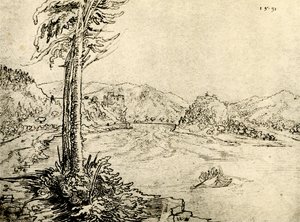 Die Donauwirbel bei Grein