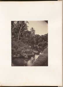 Fluss bei Kupang