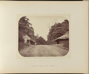 Gipfel des Poentjak bei Buitenzorg von Woodbury and Page