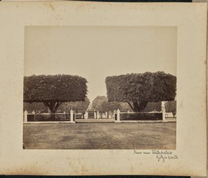 Bäume in der Nähe des Wasserpalastes, Djokjakarta