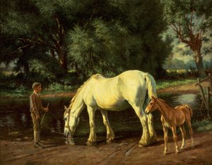 Eine Stute und ihr Fohlen an einer Furt von Wright Barker
