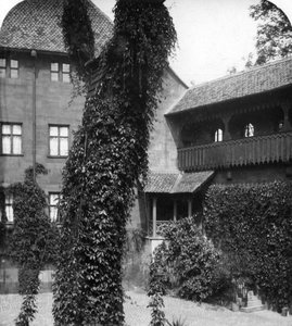 Lindenbaum in einem Hof, Nürnberg, Bayern, Deutschland, ca. 1900er Jahre