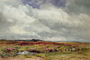 Ein windiger Tag, Dartmoor