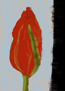 Lebendige rote Blüte