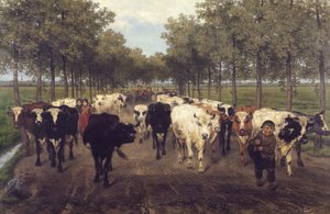 Die Meersstraat in Gent von Xavier de Cock