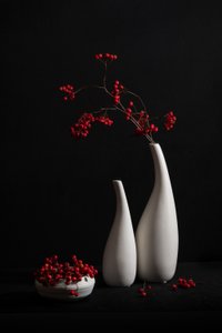  von Xiaoyuan Xu