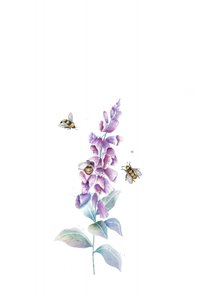 Aquarell Bienen und Blüten