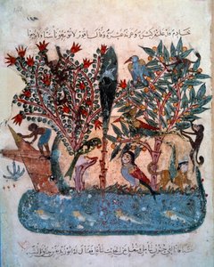Die geheimnisvolle Insel, bevölkert von seltsamen Tieren. Miniatur aus den Maqamat von Abu Mohammed al-Kasim ibn Ali Hariri, illuminiert von Yahya Mahmud al-Wasiti