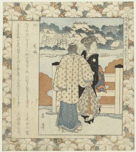 Hase: Kamejima