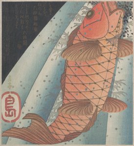 Roter Karpfen, der einen Wasserfall hinaufsteigt von Yashima Gakutei