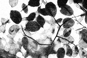Monochromatisches Blätterdach