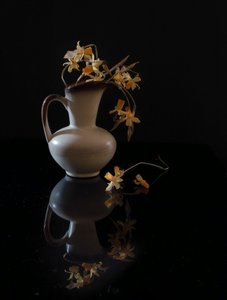 Elegantes Blumenstillleben von Yuanwei Zuo APA
