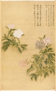 Pfingstrosen, 1685 von Shouping Yun