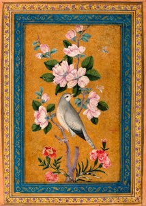 Vogel auf einem blühenden Ast von Yusuf Zaman