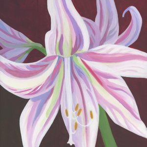 Lebendige Gestreifte Amaryllis von Yvonne Gustafsson