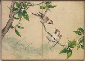 Schreibtischalbum: Blumen- und Vogelmalereien Tratschende Spatzen, 18. Jahrhundert von Zhang Ruoai