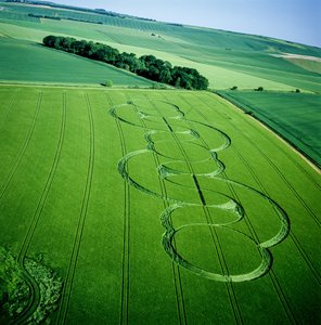 Kornkreis im Gerstenfeld, Beckhampton, Wiltshire, 5. Juni 2005 (Luftaufnahme)