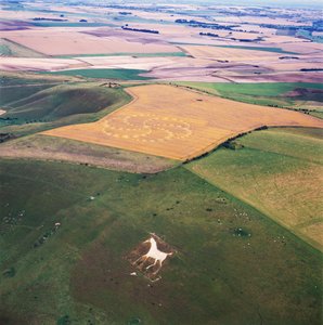 Kornkreis im Weizenfeld, Milk Hill, Alton Priors, Vale of Pewsey, Wiltshire